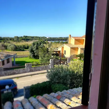 A Window On The Saline