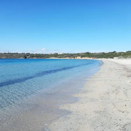 A Window On The Saline *