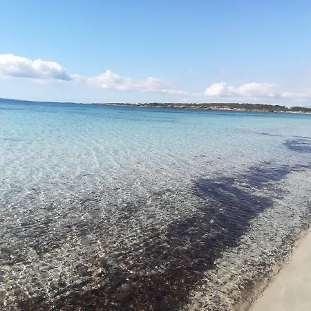 Nyaraló A Window On The Saline *