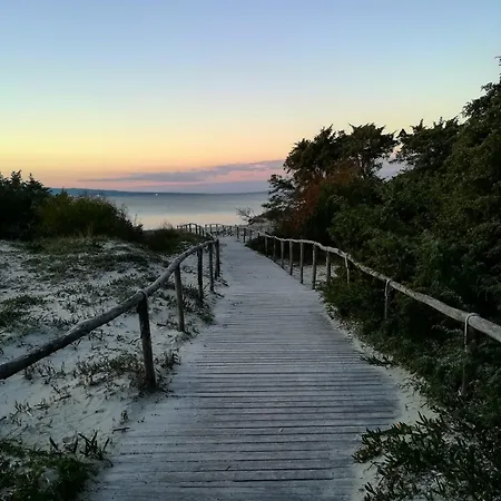 A Window On The Saline * Calasetta