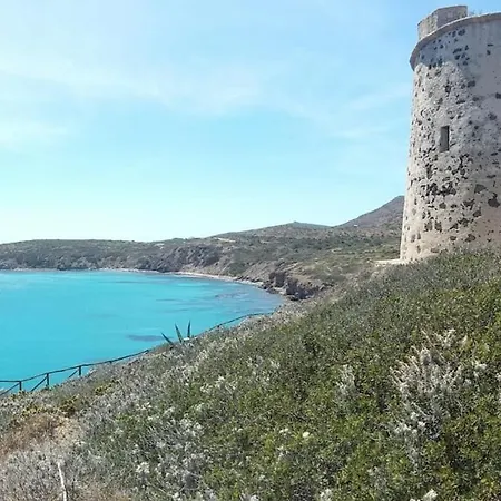 A Window On The Saline *