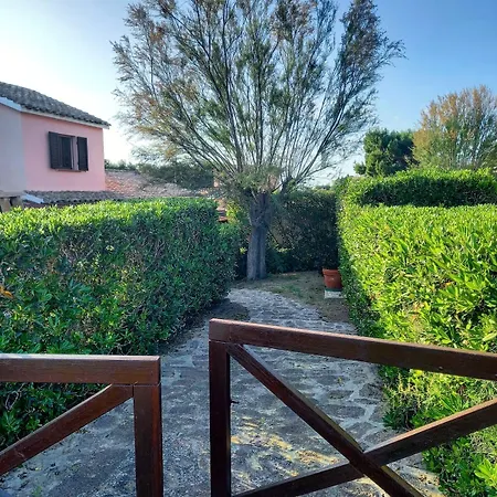 A Window On The Saline * Calasetta