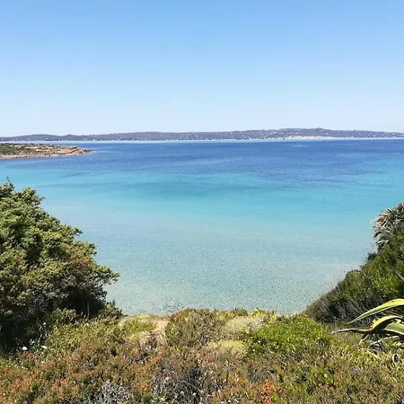 A Window On The Saline Nyaraló