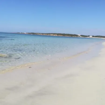 A Window On The Saline