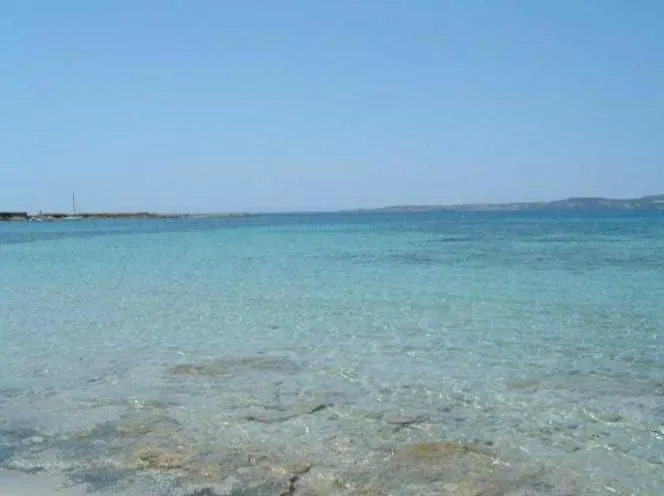 A Window On The Saline