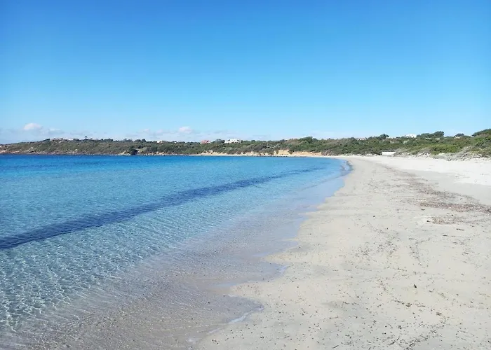 A Window On The Saline *