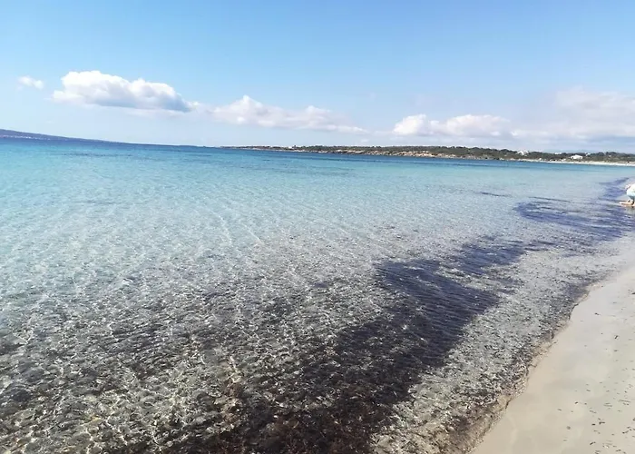 Дом отдыха A Window On The Saline *