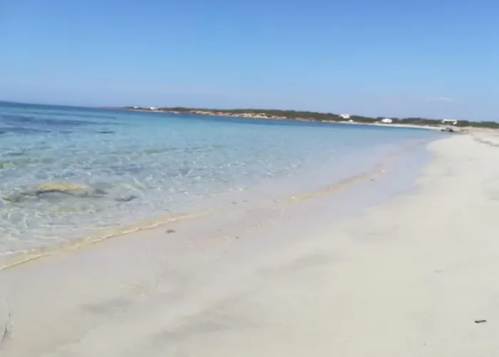 A Window On The Saline